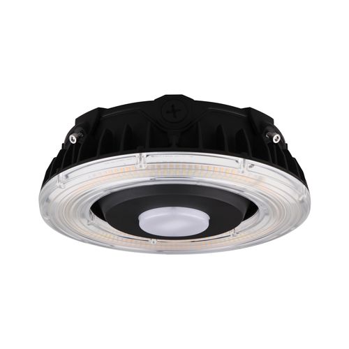Main product image of LED Canopy Fixture 25 Watt CCT Selectable Bronze Finish 100-277 Volt