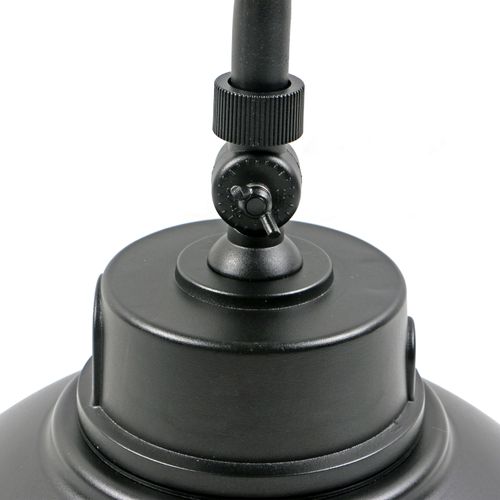 Main product image of LED Gooseneck 30W/40W/50W CCT Selectable 3K/4K/5K Black 120-277V w/ Photocell