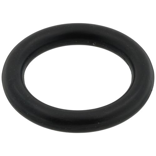 Main product image of O-Ring 17.04 x 3.53 TRX Step 1, 65104262