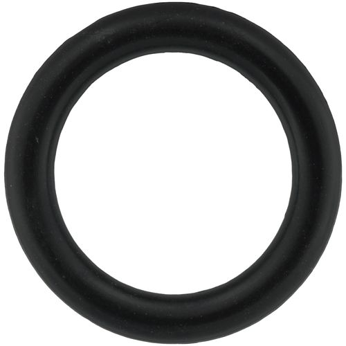 Main product image of O-Ring 17.04 x 3.53 TRX Step 1, 65104262