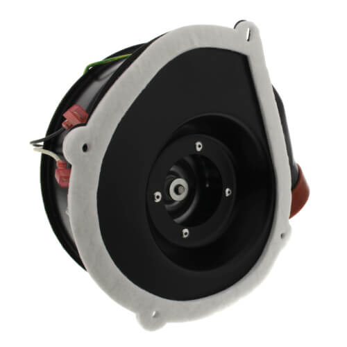 Main product image of Draft Inducer, Rheem Replacement (115 V)