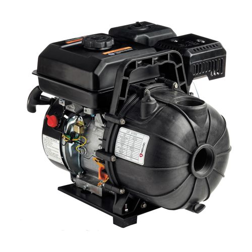 Main product image of 6RLPG-2U Thermoplastic Gas Driven Agricultural Chemical/Fertilizer Transfer Pump (Black)