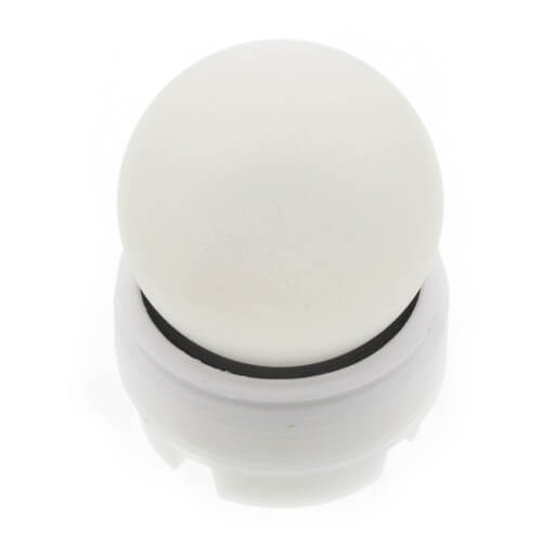 Main product image of Backwater Device for 2" FIP Threads
