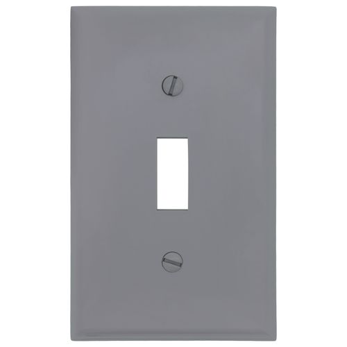 Main product image of 1-Gang Electrical Wall Plate, Nylon, Toggle Switch (Grey)
