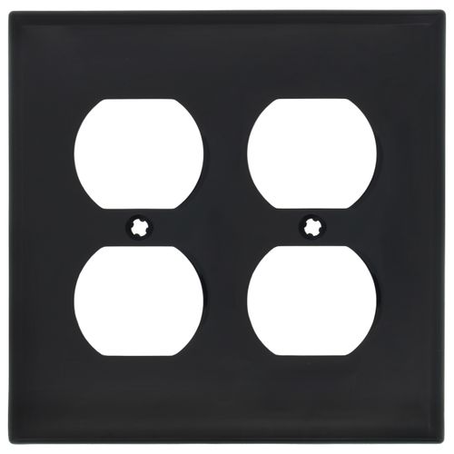 Main product image of 2-Gang Electrical Wall Plate, Nylon, Duplex (Ebony)