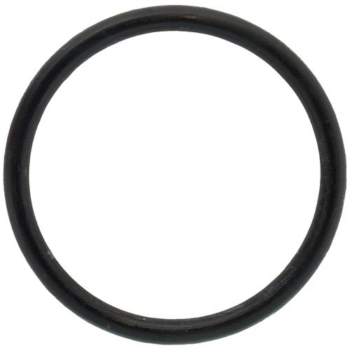 Main product image of O-Ring Dia-40 X 3.53 Trap Tray Q/E KT, 809000052