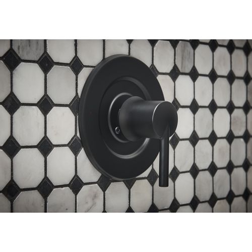 Main product image of Arlys Posi-Temp Tub/Shower Trim, 82770BL (Matte Black)