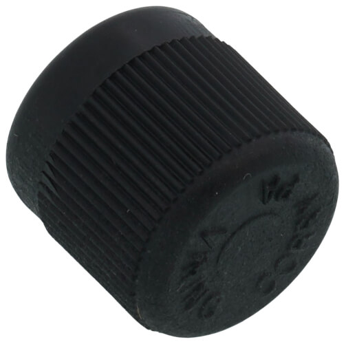 Main product image of Protective Cap - Nylon (Pack of 25), 83-CD2210-25PK