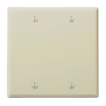 Main product image of 2-Gang No Device Blank Wall Plate, Box Mount (Ivory)