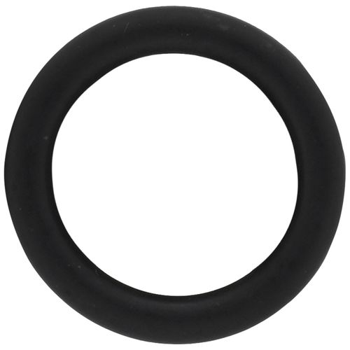 Main product image of O-ring 26.34 X 5.33 (5x), 87102050980