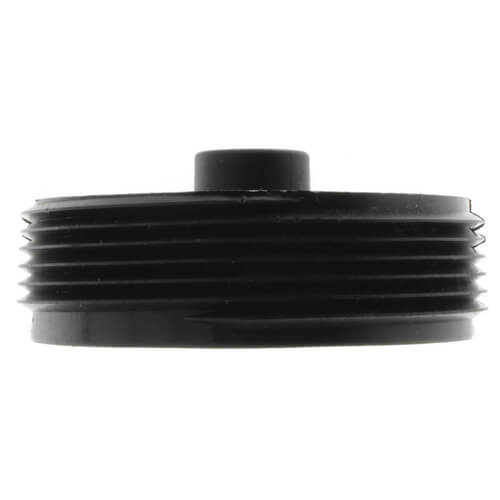 Main product image of 2" Slotted ABS Flush Plug w/ Threaded Brass Insert