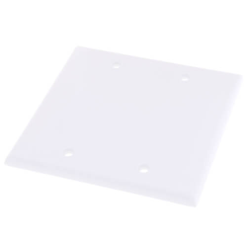 Main product image of 2-Gang No Device Blank Wall Plate, Box Mount (White)