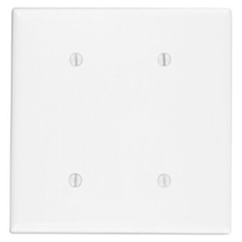 Main product image of 2-Gang No Device Blank Wall Plate, Strap Mount (White)
