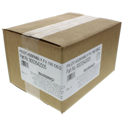 Main product image of FV Pilot Assembly, 200°, 100110946