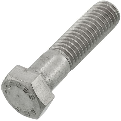 Main product image of Capscrew Stainless Steel 1/2-13 X 2"lg Hh   