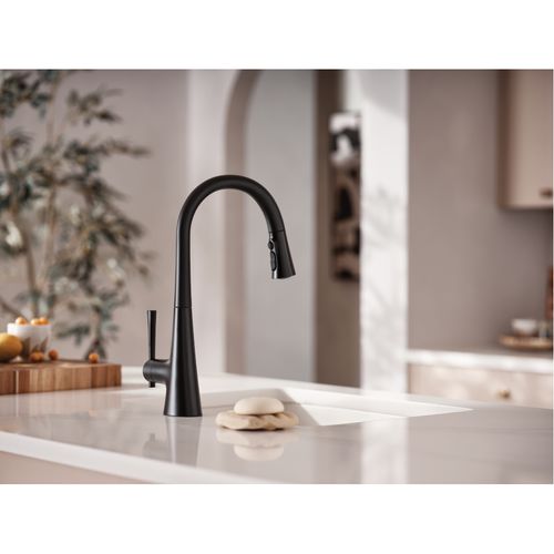Main product image of Kurv 1 Handle Pulldown Kitchen Faucet (Matte Black), 9126BL
