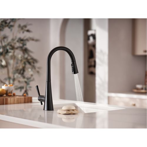 Main product image of Kurv 1 Handle Pulldown Kitchen Faucet (Matte Black), 9126BL