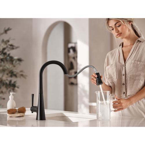 Main product image of Kurv 1 Handle Pulldown Kitchen Faucet, 1.5 GPM, 9126EVBL (Matte Black)