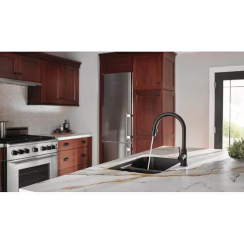 Main product image of Trinsic Single Handle Pull-Down Kitchen Faucet (Matte Black), 9159-BL-DST