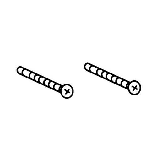Main product image of Commercial Chrome Torx Head Screws for Posi-Temp and Moentrol Escutcheons (Bag of 2), 93455