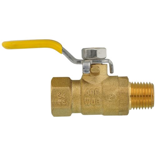 Main product image of 1/4" FNPT x MNPT Full Port Mini Ball Valve