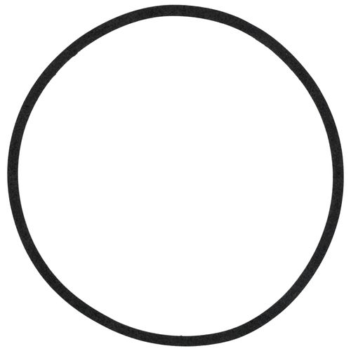 Main product image of Gasket (Casing)