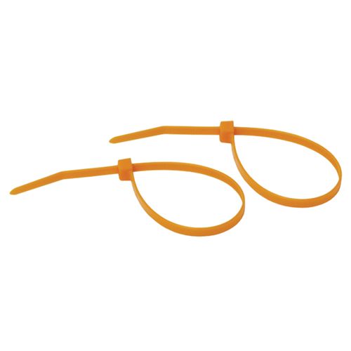 Main product image of Cable Ties (1000 per Box)