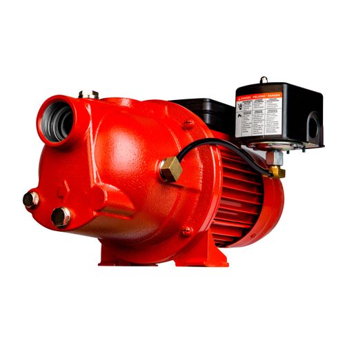 97080502 - Red Lion Pumps 97080502 - RL-SWJ50 1/2 HP, 12.6 GPM DualVage ...