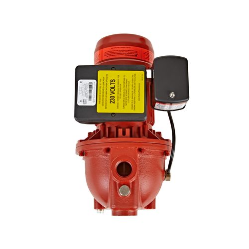 97081001 - Red Lion Pumps 97081001 - RL-SWJ100 1 HP, 17 GPM DualVage ...