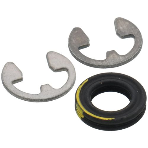 Main product image of Viton Seal Kit For Float Switch