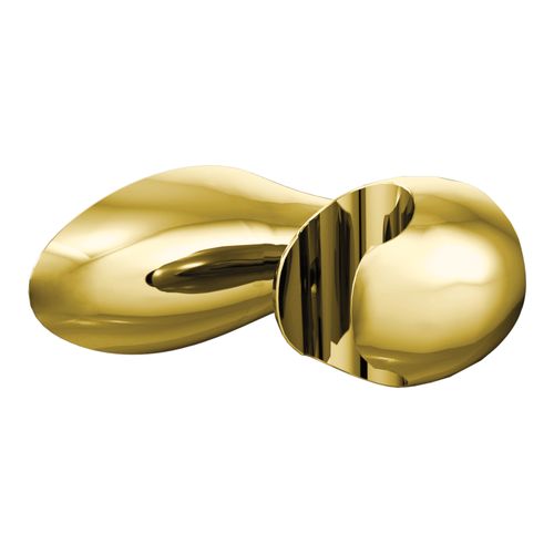 Polished Brass Handshower Bracket, A730P