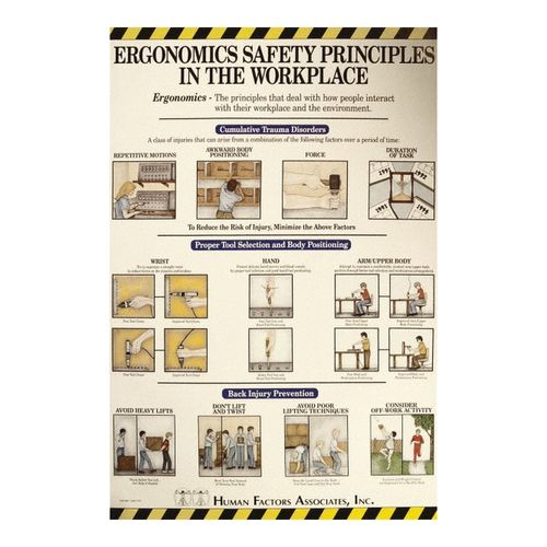 Main product image of 36" x 24" Laminated Paper Ergonomics Information Poster, ESP1