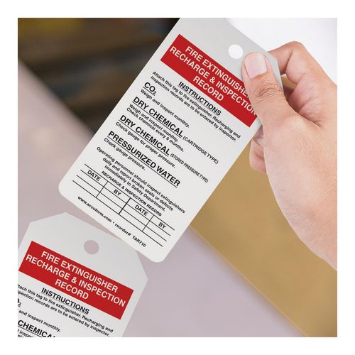 Main product image of 6-1/4" High Blank Synthetic Paper Inspection Tag, TAR710