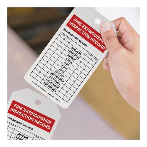 Main product image of 6-1/4" High Blank Synthetic Paper Inspection Tag, TAR712
