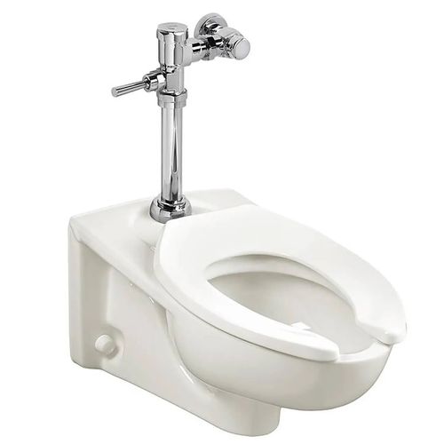 Main product image of Afwall Millennium Wall-Hung EverClean Toilet System w/ Manual Piston Flush Valve, 1.6 gpf/6.0 Lpf (White)