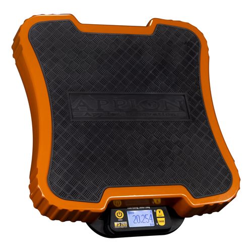 Main product image of Precision Scale 250 lbs.