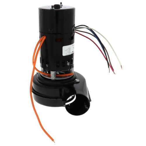 Main product image of 1-Speed 3000 RPM 70 CFM Blower Motor (115/208-230V)