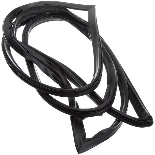 Main product image of Door Gasket, 300484002