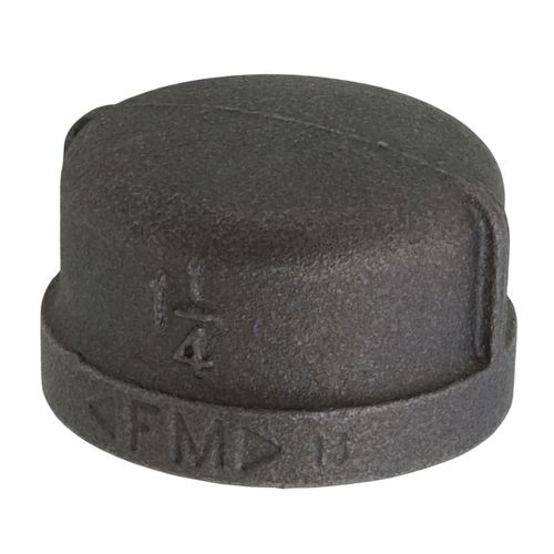 Main product image of 1-1/4" Black Cap