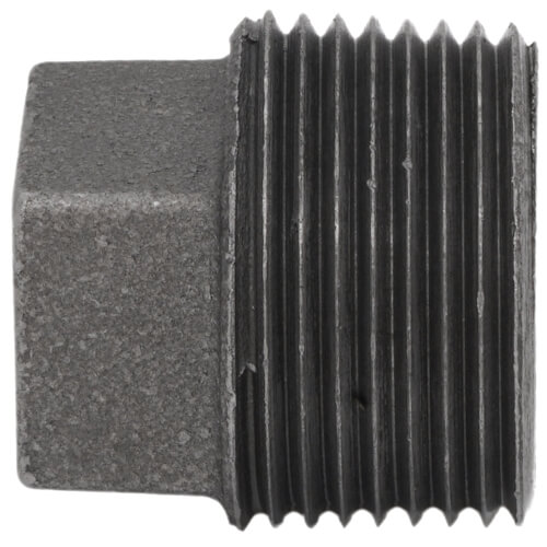 Main product image of 1" Black Plug