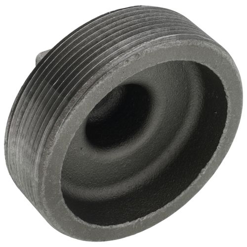 Main product image of 4" Black Plug