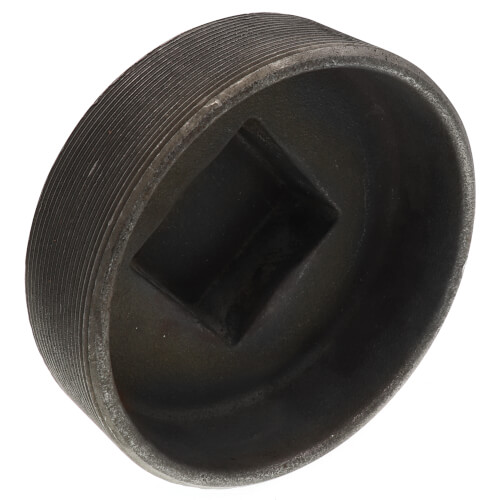 Main product image of 6" Black Plug