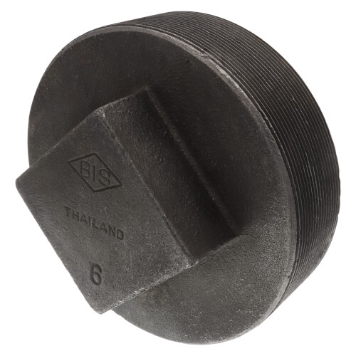 Main product image of 6" Black Plug