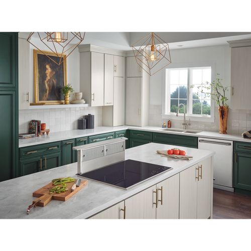 Main product image of 30" Elite Series Downdraft Range Hood w/ 500 CFM Internal Blower