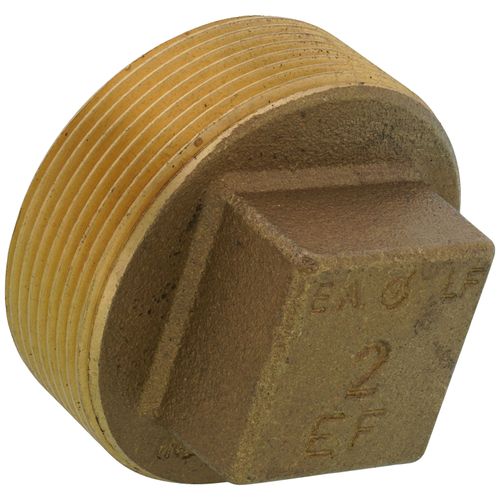 Main product image of 2" Brass Plug, Cored (Lead Free)