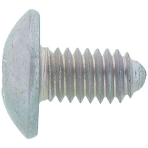 Main product image of Truss Screw, CP-30580-JW