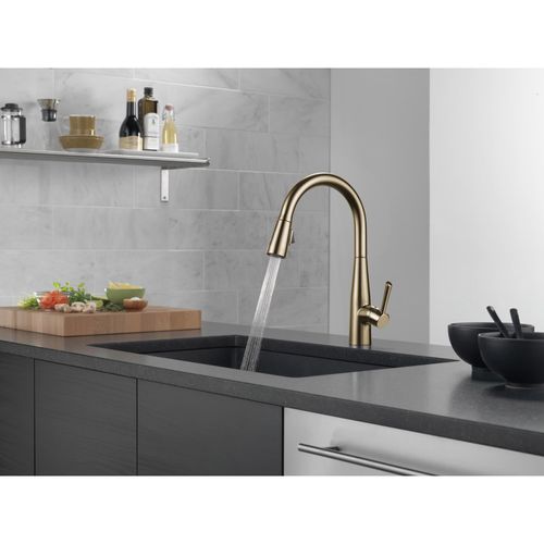 Main product image of Essa Single Handle Pull-Down Kitchen Faucet, 9113-CZ-DST (Champagne Bronze)