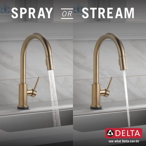 Main product image of Trinsic VoiceIQ Single-Handle Pulldown Kitchen Faucet w/ Touch20 Technology (Champagne Bronze), 9159TV-CZ-DST