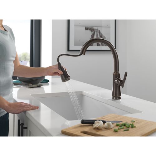 Main product image of Coranto 1-Handle Pull Down Kitchen Faucet (Venetian Bronze), 9179-RB-DST