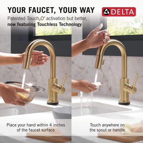 Llave De Agua Fría Purificada Tilo Tradicional En Champagne